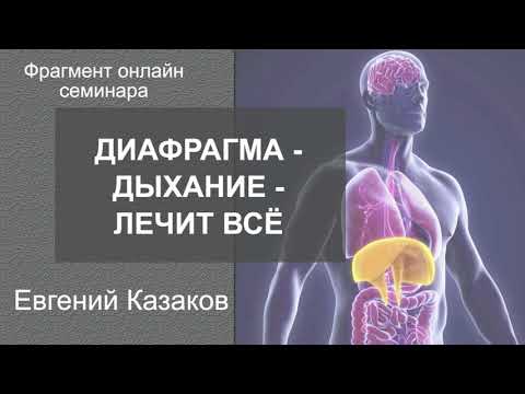 Видео: Диафрагма  Дыхание  Лечит всё