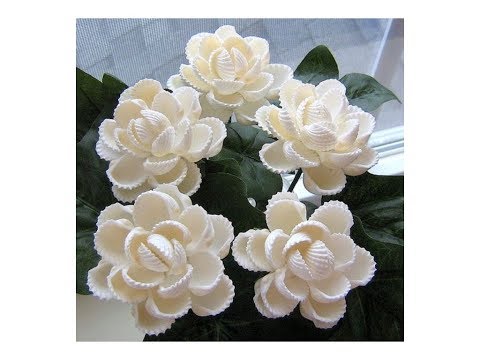 Видео: Роза из ракушек.