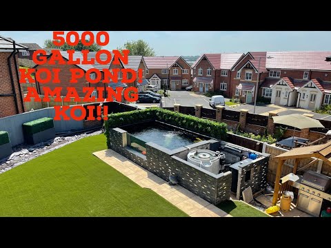 Видео: ПРУД ДЛЯ КАРТОВ КОИ ОБЪЕМОМ 5000 ГАЛЛОНОВ - ПОТРЯСАЮЩИЕ ГИГАНТСКИЕ КАРТЫ КОИ!!!