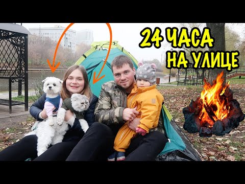 Видео: 24 ЧАСА ВЫЖИВАЕМ НА УЛИЦЕ С КОТОМ, СОБАКОЙ И МАЛЫШОМ