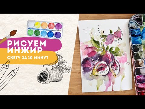 Видео: Как нарисовать ИНЖИР за 10 минут | Акварельный скетчинг