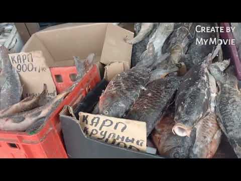 Видео: Центральный Рынок г.Кокшетау(12.02.2022)