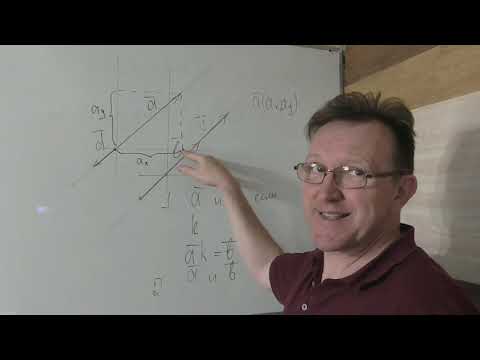 Видео: Коллинеарные векторы.