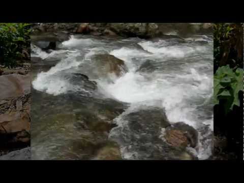 Видео: Zamin ( Зомин) Заамин сегодня........Согиндим...