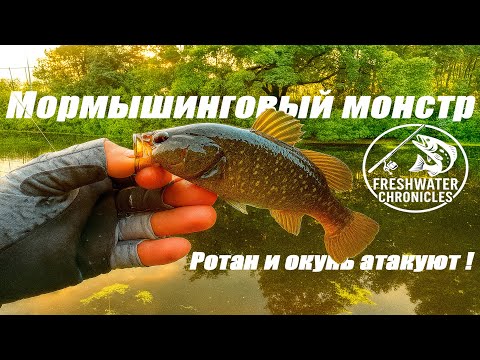 Видео: #мормышинг В КРАСИВОМ ПАРКЕ ОРУДУЕТ РОТАН! Ловить, нельзя помиловать! #рыбалка #спиннинг #ротан