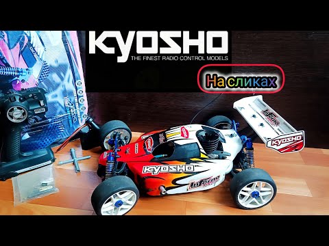 Видео: Кошка Nitro 1/8 . Ты вернулась. На канал!