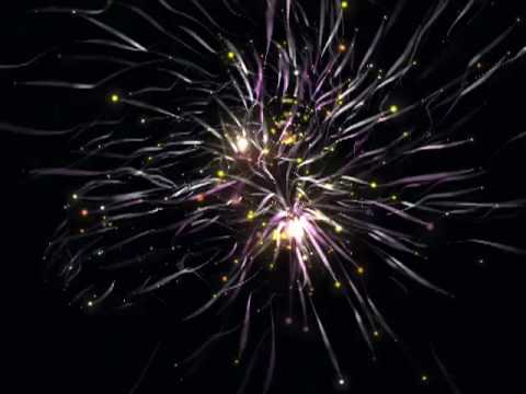 Видео: "Народны альбом" - Мой паляўнічы (1997)