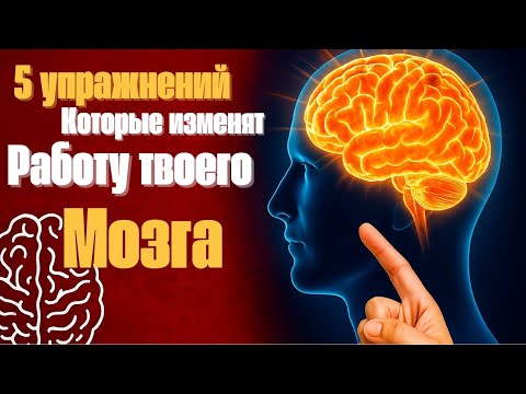 Видео: 5 упражнений, которые перепрограммируют твой мозг за 7 дней | Тайны мозга
