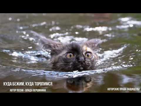 Видео: ВЫ И ТАКУЮ ПЕСНЮ ЕЩЕ НЕ СЛЫШАЛИ! ПОСЛУШАЕТЕ И НИКОГДА НЕ ЗАБУДЕТЕ!