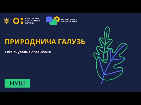 Видео: Природнича галузь. Співіснування організмів