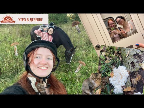 Видео: 📍конский вложик |лошадки, козы и котон |