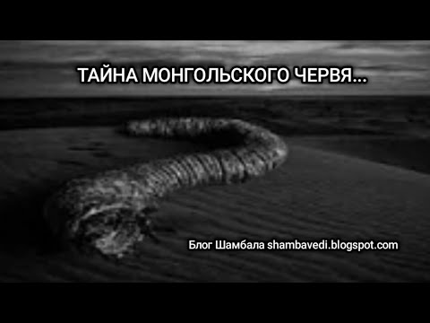 Видео: ТАЙНА МОНГОЛЬСКОГО ЧЕРВЯ , ЗАБЫТЫЙ ГОРОД И ЦАРЬ СОЛОМОН - ВАЛЕРИЯ КОЛЬЦОВА _shambavedi.blogspot.com