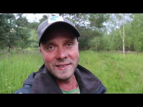 Видео: Рыбалка на ЩУКУ, со СПИННИНГОМ по МАЛЫМ РЕКАМ Калужской области!!! Спиннинг летом!!!