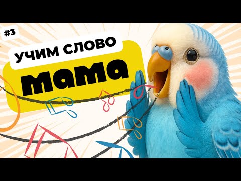 Видео: Научите Попугая Говорить «МАМА» | Уроки для Волнистых, Жако и Амазонов