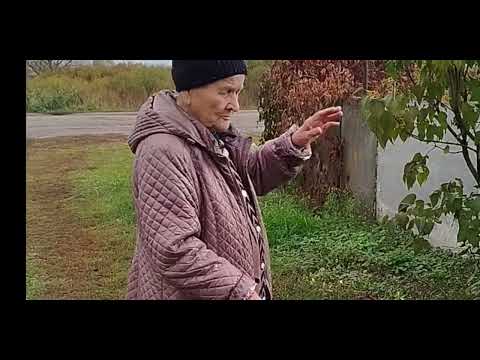 Видео: Погода хорошая. Гуляем. Деменция.