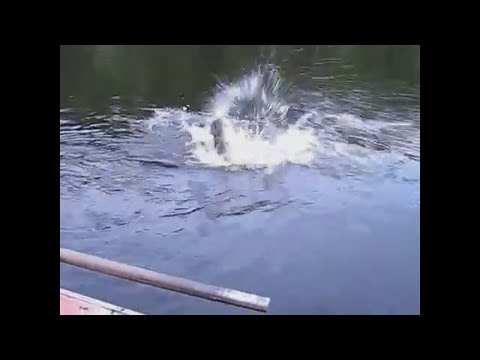 Видео: Когда НА РЫБАЛКЕ с ЖЕНОЙ!!!