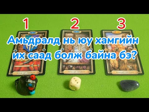 Видео: Амьдралд нь юу хамгийн их саад болж байна бэ?