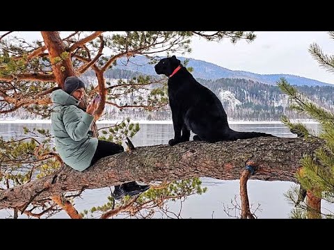 Видео: Пантера Луна. Прогулка по любимым местам (часть 1)