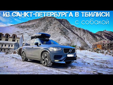 Видео: Из Санкт-Петербурга в Грузию на машине с собакой