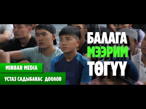 Видео: Садыбакас ажы Доолов БАЛАГА МЭЭРИМ ТӨГYY