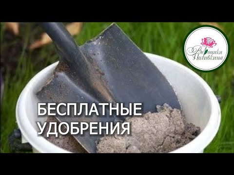 Видео: БЕСПЛАТНЫЕ УДОБРЕНИЯ.   ВСЕ О ЗОЛЕ И УГЛЕ