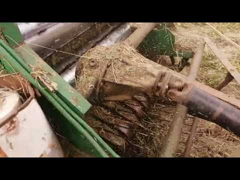 Видео: 8 сентября 2022 г.