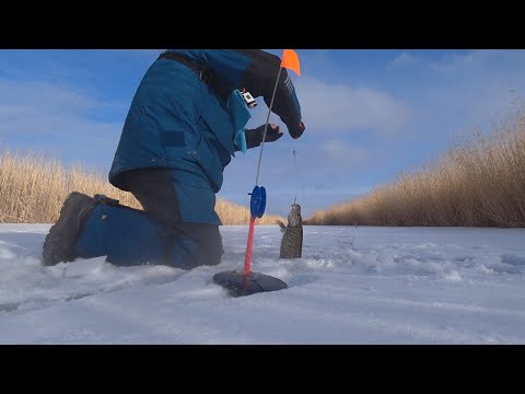 Видео: РЫБАЛКА НА ЖЕРЛИЦЫ.ПОДВОДНЫЕ СЪЕМКИ АТАК ЩУК.