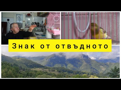 Видео: Знак от отвъдното/Цялото предаване