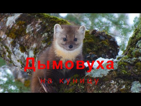 Видео: Охота на куницу  -  Изготовление  дымовухи .