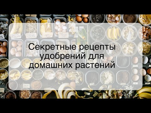 Видео: Секретные рецепты удобрений для домашних растений