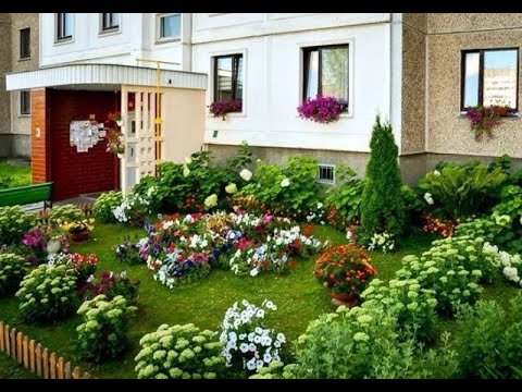 Видео: Как соседи обустраивают придомовую территорию в многоэтажках
