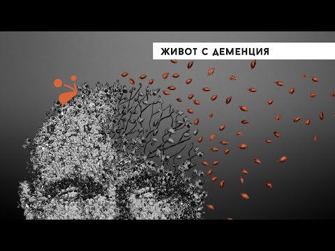 Видео: Живот с деменция [Vox Nihili със Стоян Ставру]