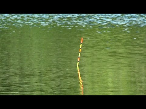 Видео: Донная херабуна на карася. новая снасть (но название предварительное, потом можем переименовать )
