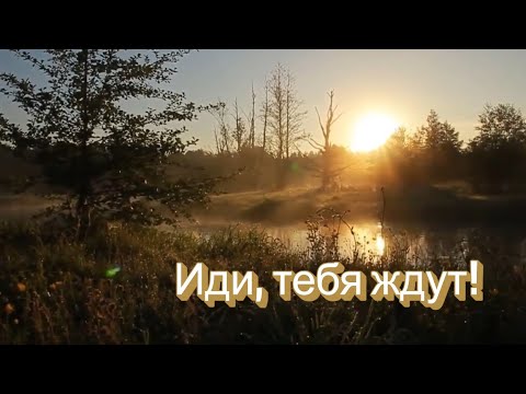 Видео: Иди, тебя ждут!