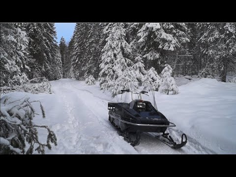 Видео: Снегоход Yamaha BR250T