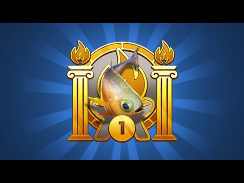 Видео: Fishing clash "Підметіть тут" + квест "Божественні сувеніри" початок , клан "ДОМИНИАНА" 08.11.25.