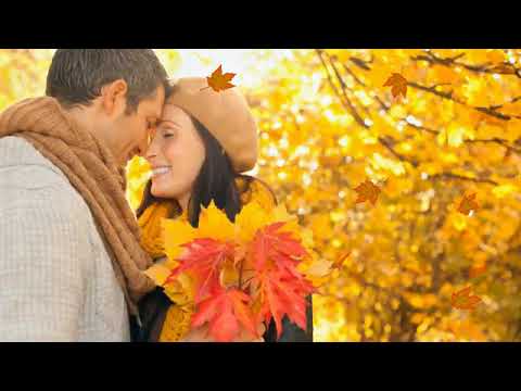 Видео: 🍁МЫ ВСТРЕТИЛИСЬ С ТОБОЙ...🍂 ИРЕНА (баян)