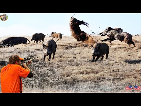 Видео: Охота на кабана — Эпическая погоня в последние мгновения — Идеальный кадр, невиданный ранее