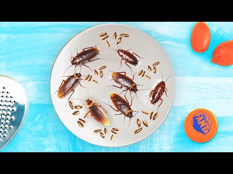 Видео: 6 ЛАЙФХАКОВ ОТ MANDARIN NEW