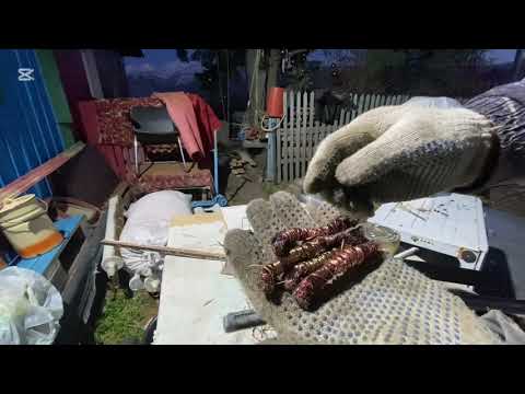 Видео: На пути к 100кг. Меди!