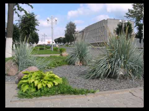 Видео: Марьина Горка