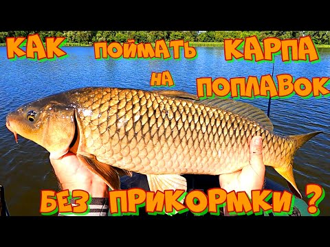 Видео: Ловля КАРПА на ПОПЛАВОЧНУЮ УДОЧКУ . Рыбалка УДАЛАСЬ !