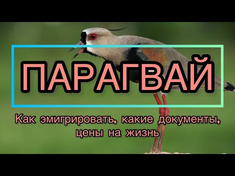 Видео: эмиграция в Парагвай. Что делать и какие документы подготовить.