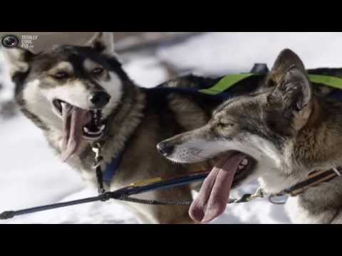 Видео: Есть город матросов    Мурманск