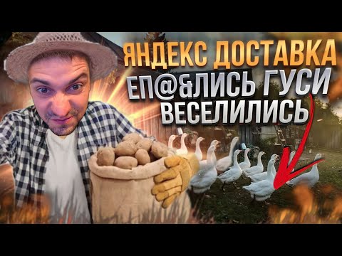 Видео: ЯНДЕКС ДОСТАВКА ЕП@&ЛИСЬ ГУСИ ВЕСЕЛИЛИСЬ