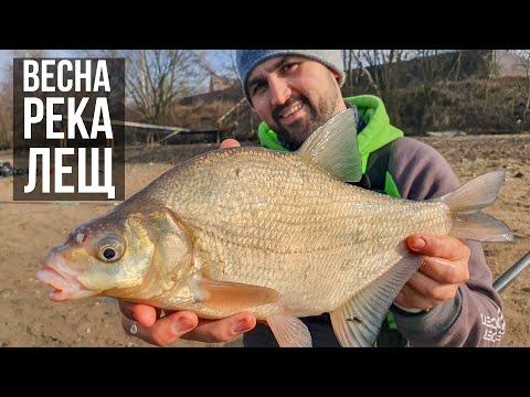 Видео: ЛЕЩ НА ФИДЕР В ПЕРВЫЕ ДНИ ВЕСНЫ / Олег Квициния.