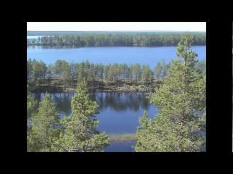 Видео: Сокровища Уницкой губы