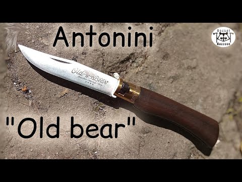 Видео: Недооцененный нож Old Bear от Antonini