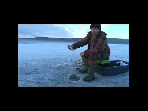 Видео: Жор леща в апреле 2024