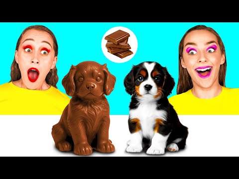 Видео: Челлендж. Шоколадная Еда vs Настоящая еда | Безумные Ситуации на Кухне от DaRaDa Challenge